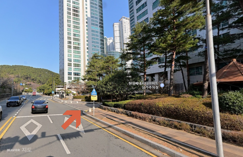 동백섬 월주차ㅣ해운대 주차 잔혹사 탈출! 마린시티·더베이101 100% 자주식 월주차장 추천