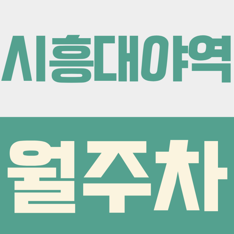 시흥대야역 월주차ㅣ시흥대야역 월주차 추천, 은계중앙로 야간 전용 주차장 월 29,000원으로 주차 전쟁 끝! 대표 이미지