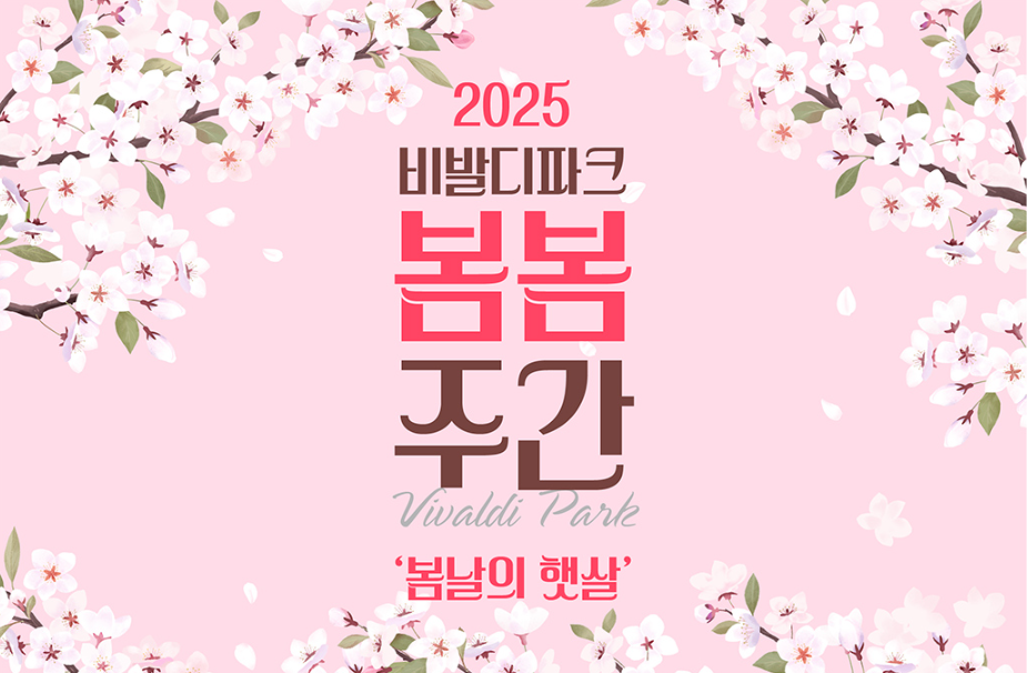 직접 가보고 알려주는 숨겨진 벚꽃 명소 TOP5_ 드라이브용