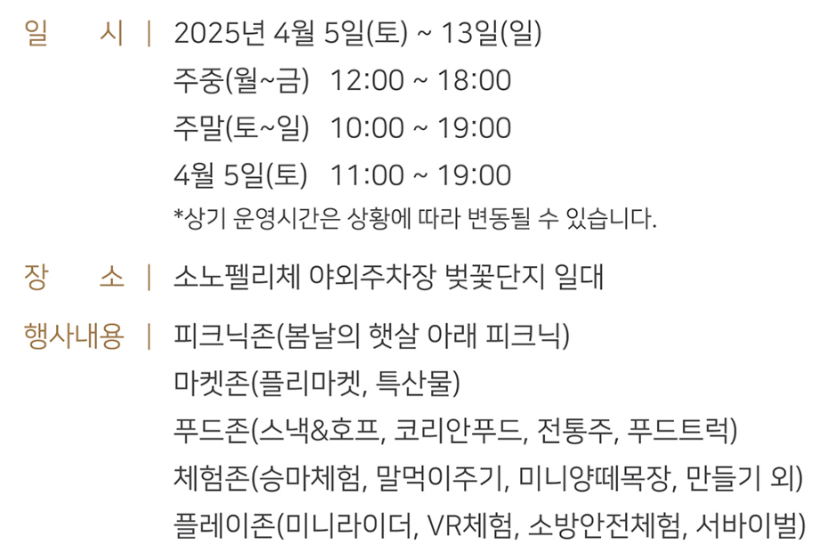 직접 가보고 알려주는 숨겨진 벚꽃 명소 TOP5_ 드라이브용