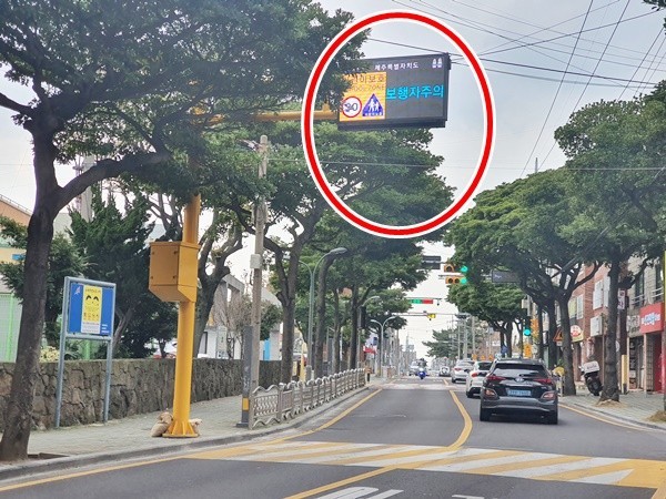 모르면 당황하는 개정된 교통법안 완벽 정리(2025년판)