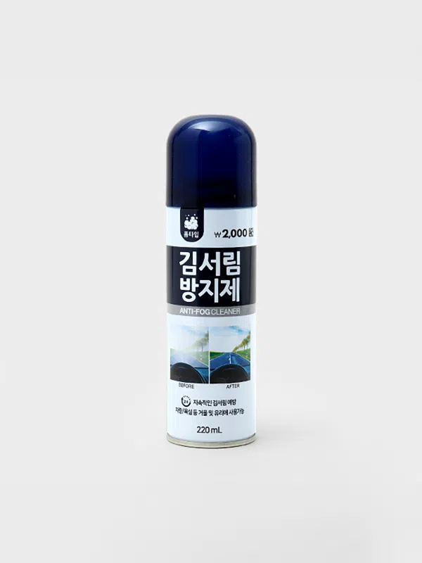 여름철 다이소 자동차 용품 꿀템 추천! : 3000원 이내 꿀템들