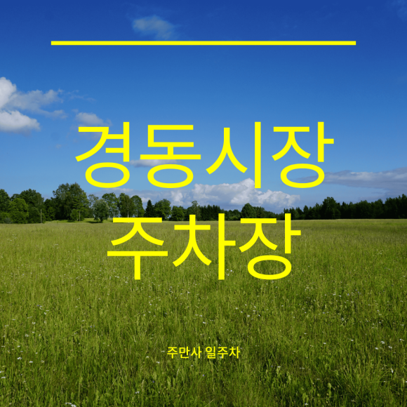 경동시장 주차장 3곳 비교ㅣ요금·거리·차종 기준 대표 이미지
