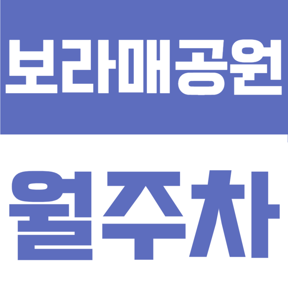 보라매공원 월주차ㅣ보라매병원역 도보 5분 100% 자주식 지정석 주차장 (마지막 잔여 1석) 대표 이미지