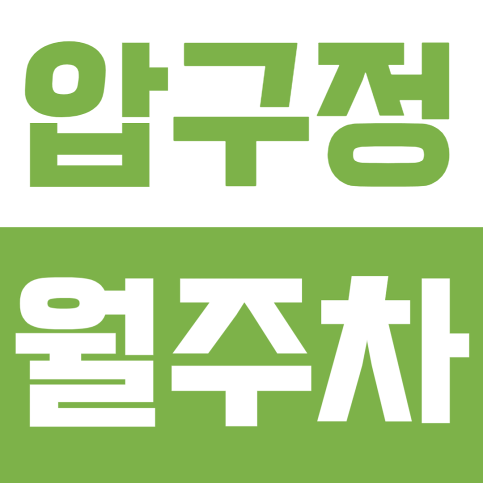 압구정 월주차ㅣ유동인구가 매우 많은 거리 속 내 주차공간 빠르게 확보하기 대표 이미지