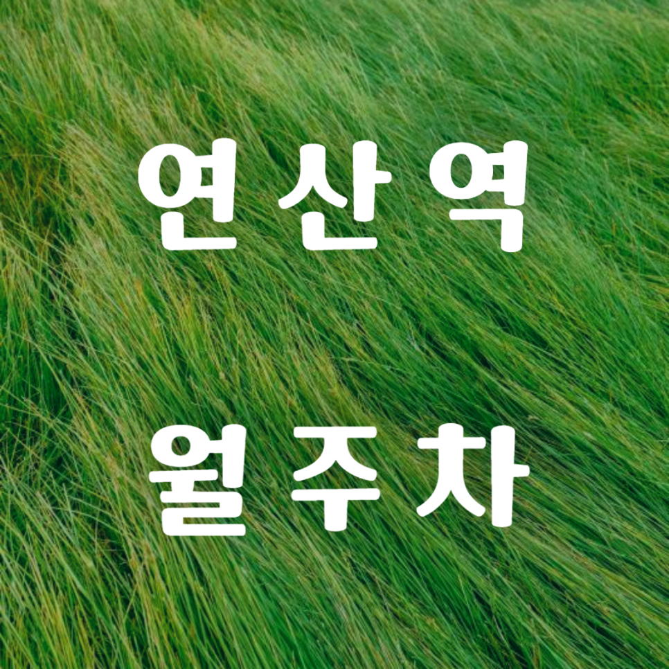 연산역 월주차 / 연산역 도보 1분 대표 이미지