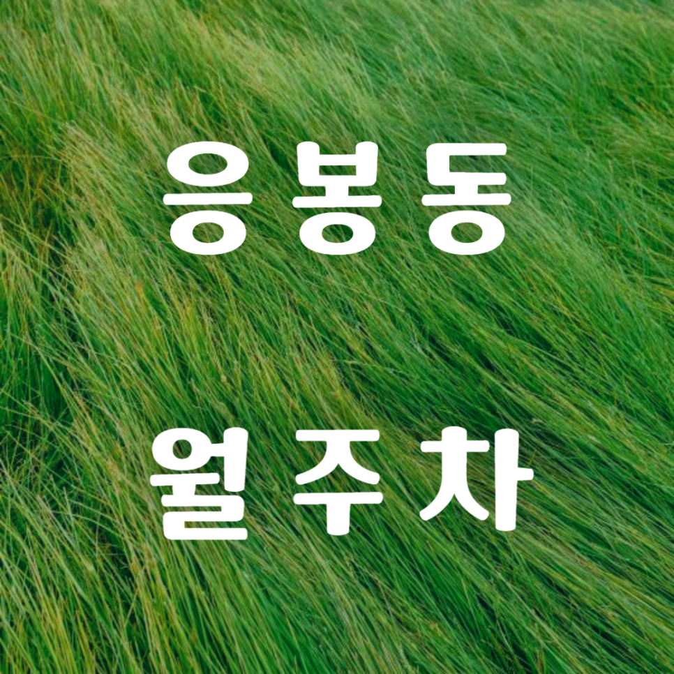 응봉동 월주차 / 응봉역, 응봉산 도보 1분 대표 이미지