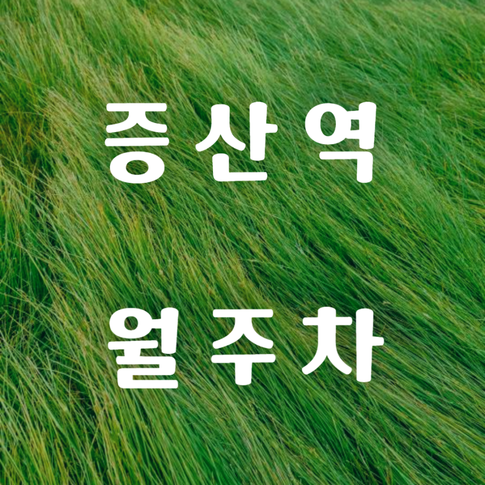 증산역 월주차 / 증산역 도보 1분 대표 이미지