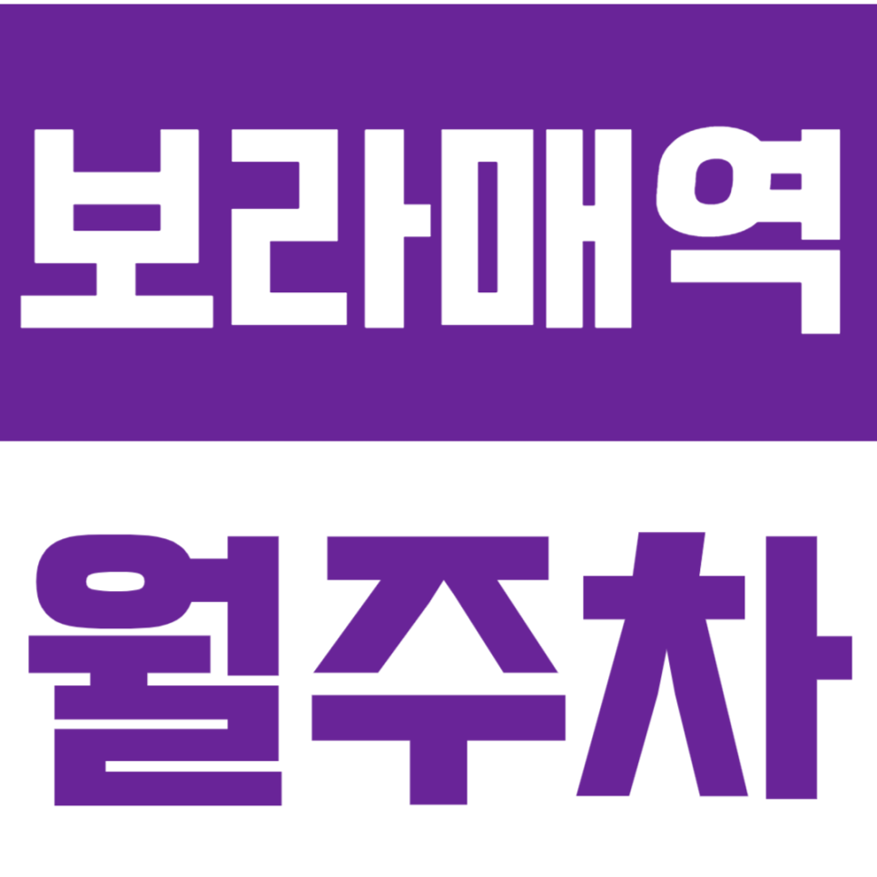 보라매역 월주차ㅣ365일 단일주차로 번거로움 0% 대표 이미지