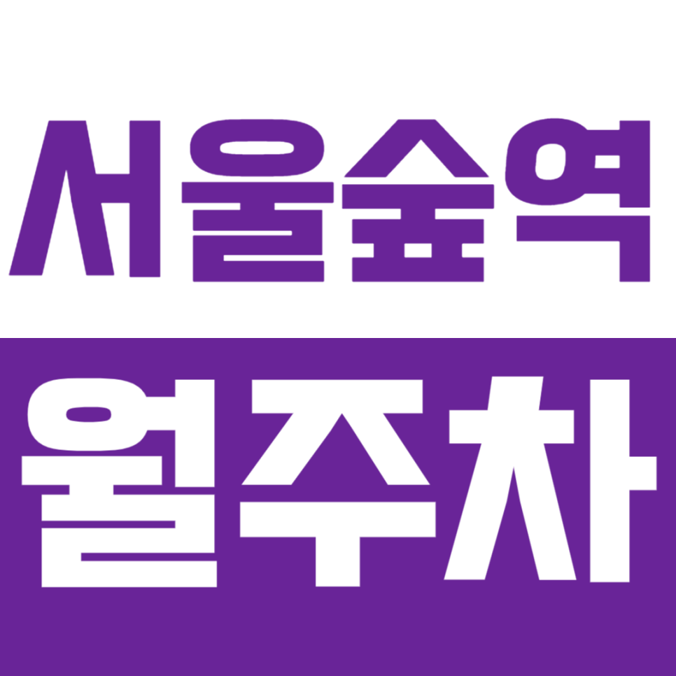 서울숲역 월주차_5번 출근 도보 5분이내의 월주차장 추천드려요 대표 이미지