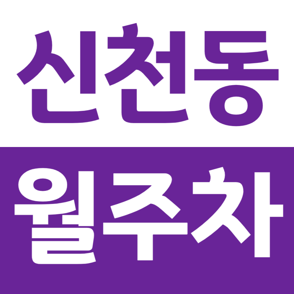 신천동 월주차 석촌호수 인근 주차장으로 주차문제 해결하기 대표 이미지