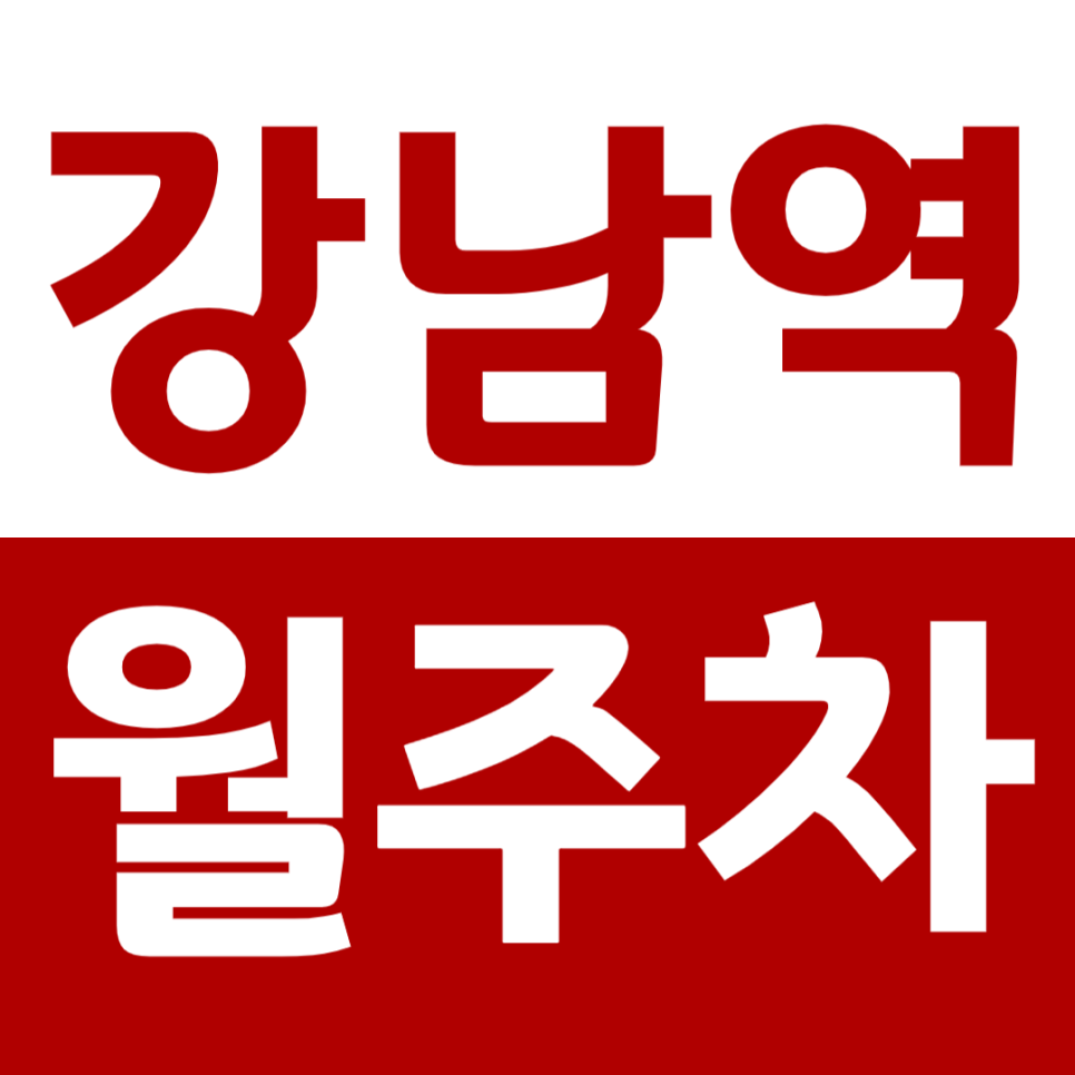 강남역 월주차 역세권 주차장으로 주차문제 쉽게 해결하기 대표 이미지