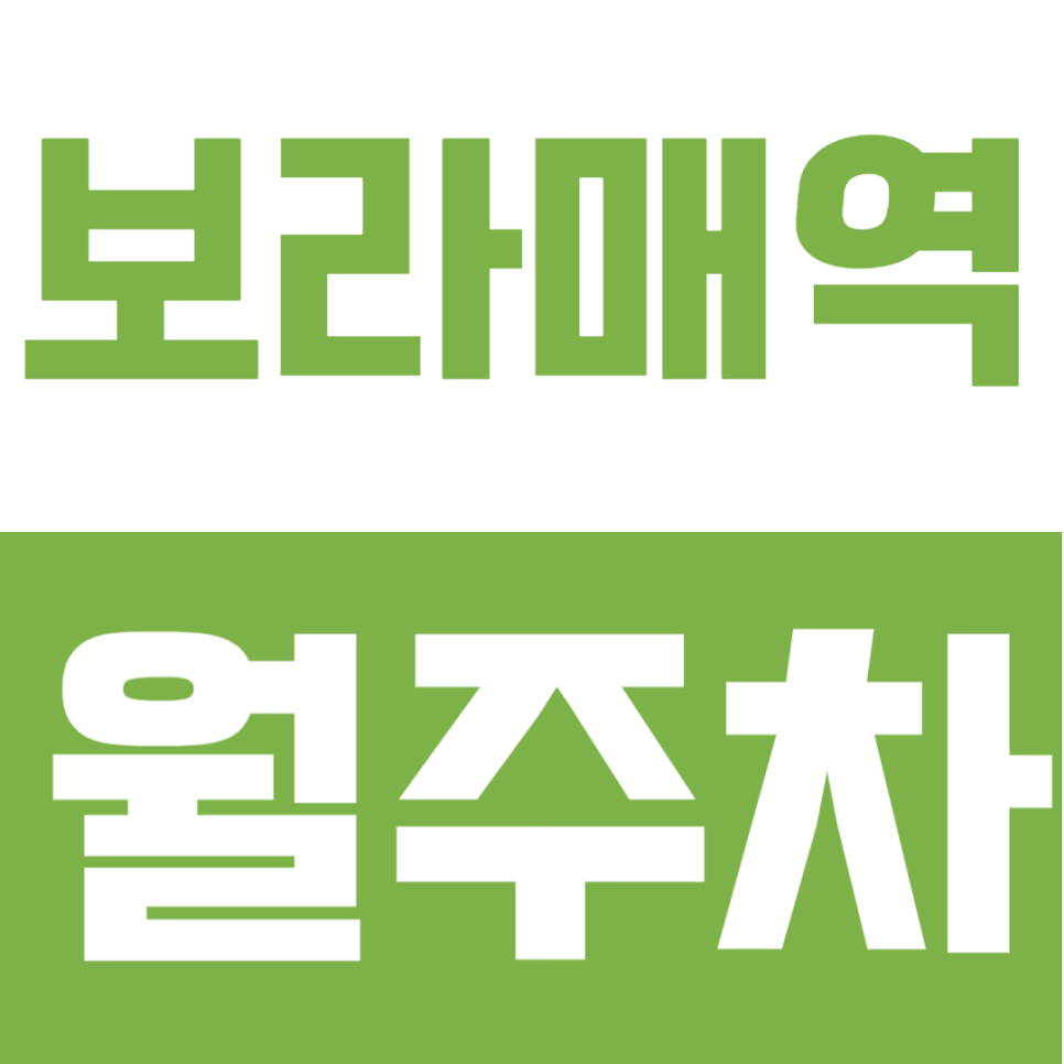 출퇴근 스트레스 줄이는 방법? 보라매역 도보 2분 거리 24시간 운영 월정기주차장 추천 대표 이미지