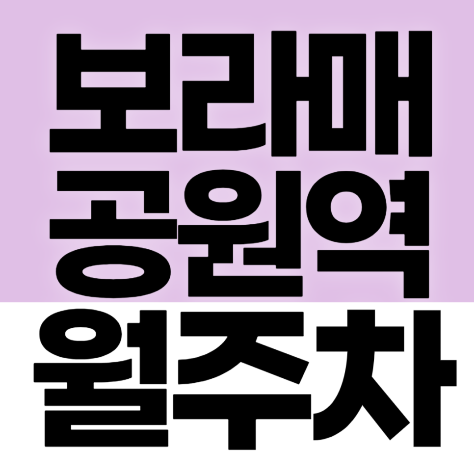 보라매공원역 월주차_보라매공원역 보라매역 사이 도보 가능한 10만원대 가성비 주차장 추천! 대표 이미지