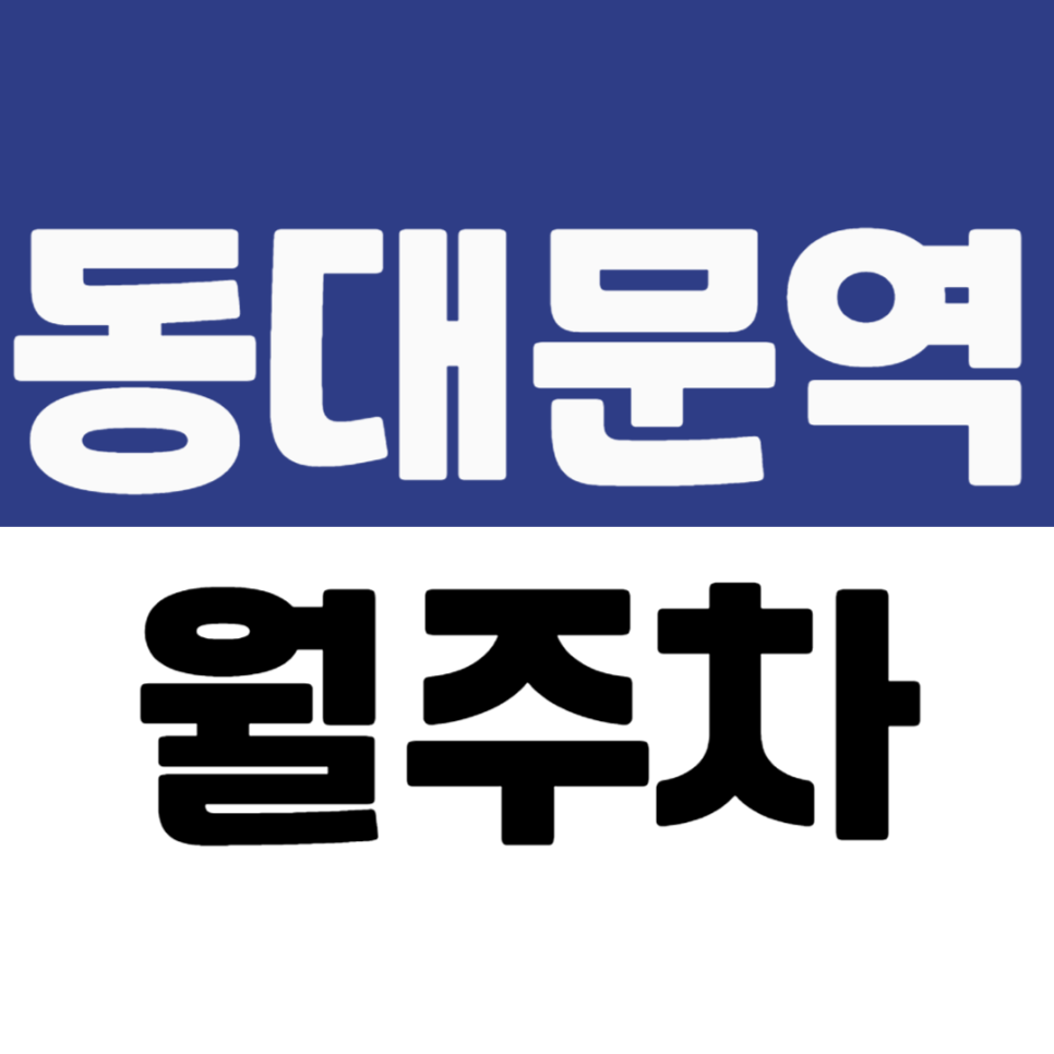 동대문역 월주차 | 현대시티아울렛 근처 20만원대 가성비 자주식 주차장 대표 이미지