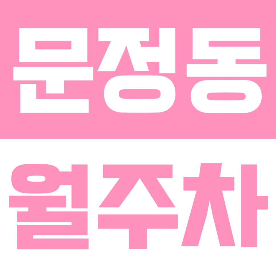 문정동 월주차 | 문정역 도보 5분! 문정고 인근, 평일 09~18시 이용 가능한 정기 주차장🚘 대표 이미지
