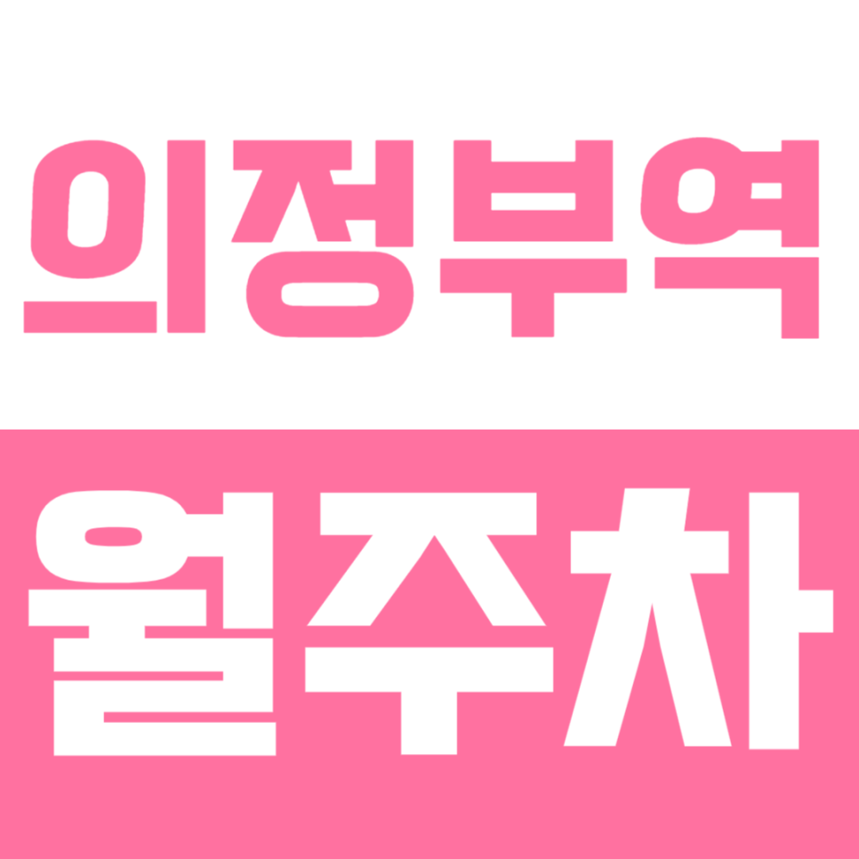 의정부역 월주차｜도보 4분 초역세권 차량 등록 번거로움 없는 가성비 주차 대표 이미지
