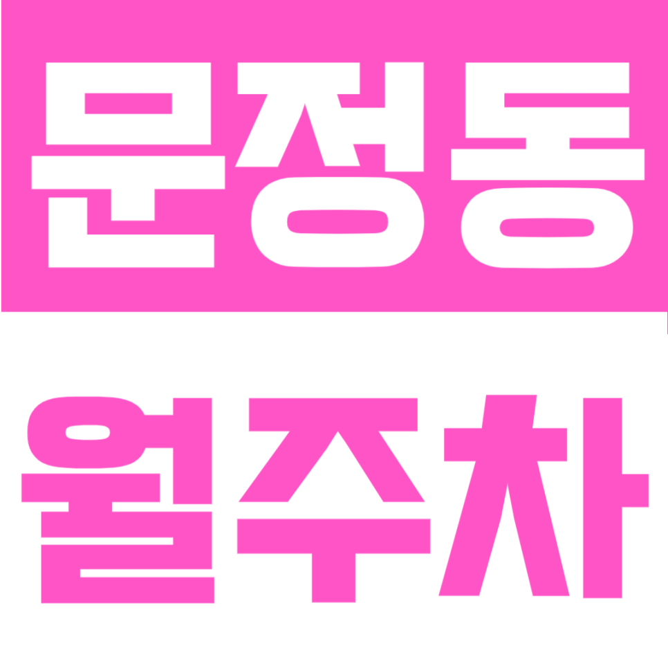 문정동 월주차 | 문정역 도보 1분 초초역세권, 월 10만원대 24시간 정기주차장 대표 이미지