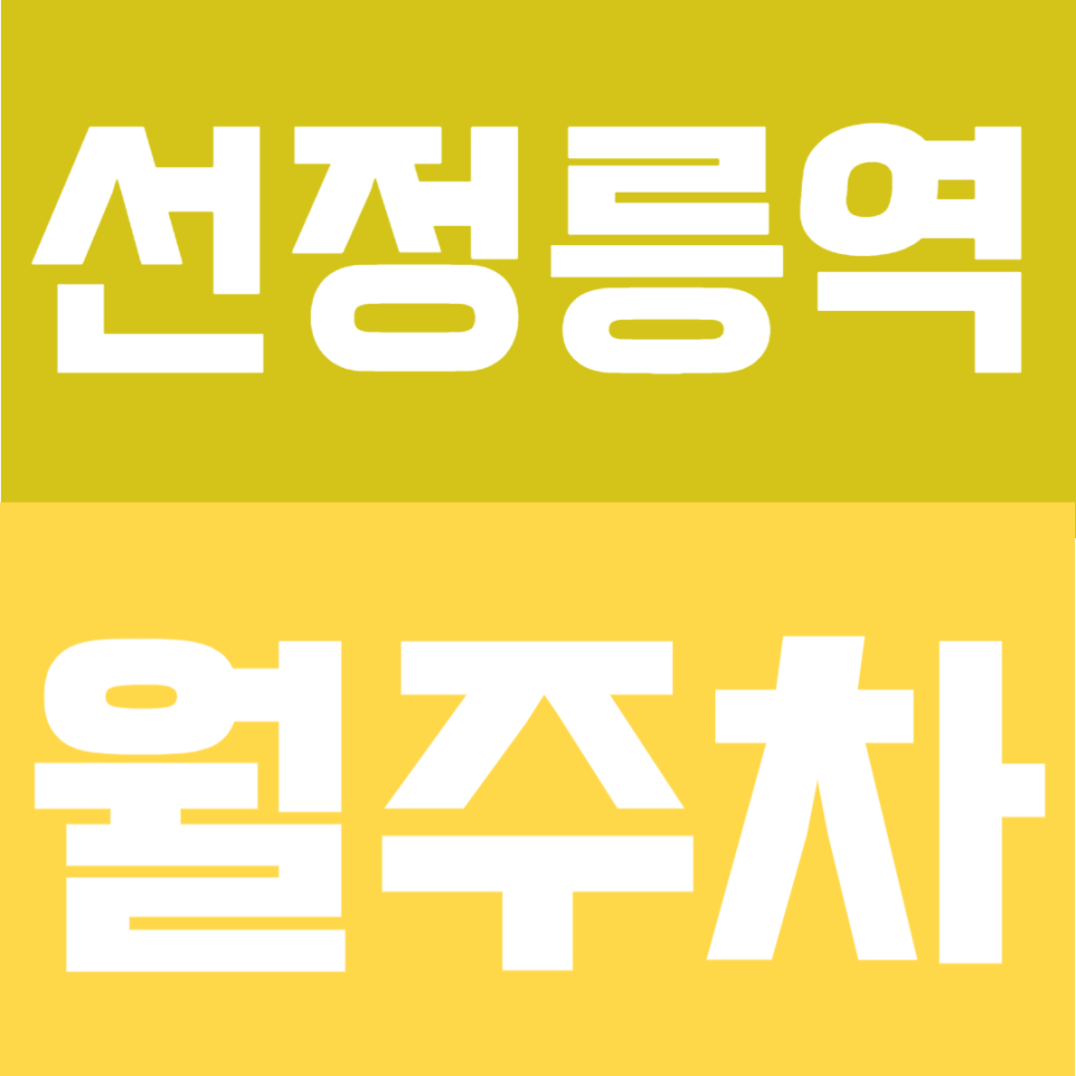선정릉역 월주차 | 선정릉역 도보 4분, SUV 가능 자주식 이중주차 24시간 정기주차장 대표 이미지