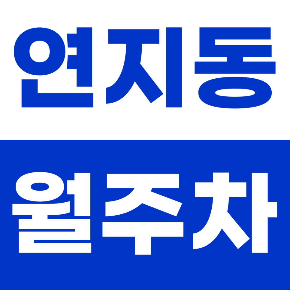 연지동 월주차 | 종로의 숨은 보물! 대형 RV도 반기는 차단기 설치 지하 명당 대표 이미지