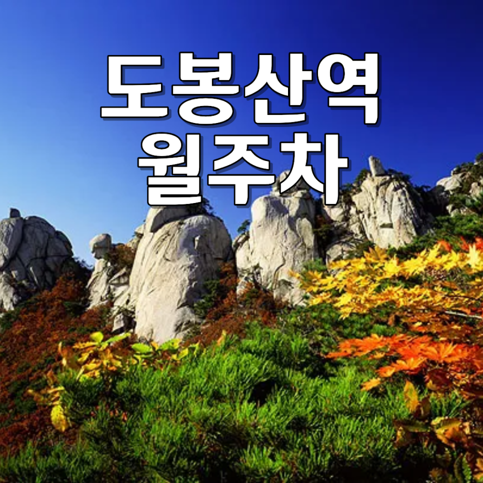 도봉산역 주차 스트레스 끝! 100% 자주식 단일 지정석 월정기 주차 자리 대표 이미지