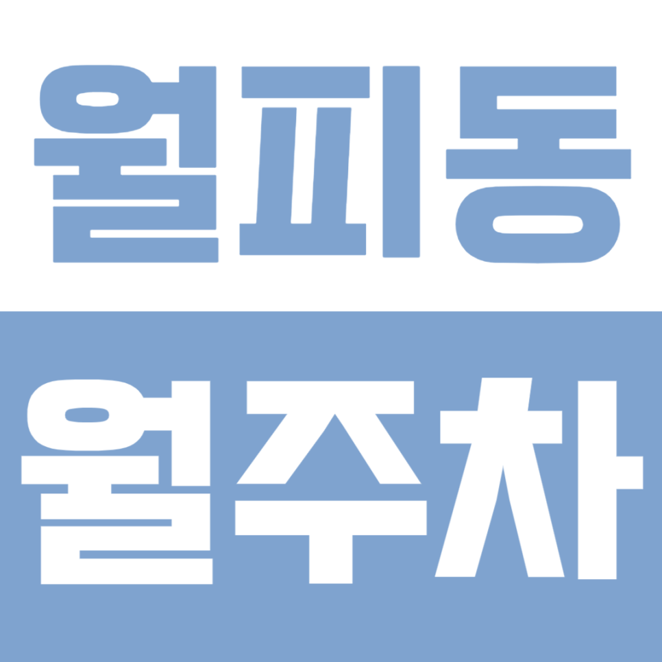 월피동 월주차ㅣ안산 월피동 월주차장 추천, 주택가·구축단지 주차 스트레스 없는 24시 지정석 주차공간 대표 이미지