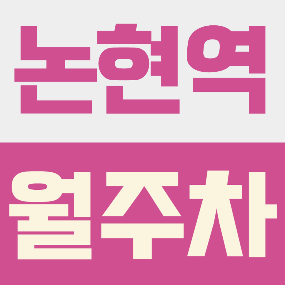 논현역 월주차ㅣ논현동 영동시장·강남대로 출퇴근러 필독! 논현역 도보 3분 24시간 월주차장 추천 대표 이미지